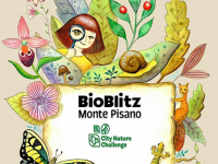 Via alle iscrizioni del "Bioblitz" Monte Pisano