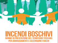 Abbruciamento di residui vegetali