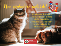 Tutela animali: l'Amministrazione comunale lancia l'appello contro l'uso dei petardi