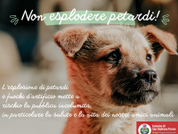 Non esplodere petardi: tuteliamo l'incolumità pubblica e degli animali