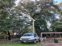 Parco della Pace in sicurezza: ultima fase di intervento nelle aree alberate 