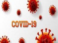 COVID-19