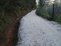 18 GENNAIO 2022 / Anpil Centro visite Monte Castellare e Cisternone, partiti i lavori di manutenzione
