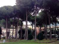 3 DICEMBRE 2019 / 9 dicembre, al via la messa in sicurezza del Parco dei Pini
