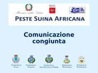 Peste suina africana, informazioni utili