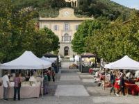 13 MAGGIO 2022 / Torna il Fierino di maggio a San Giuliano Terme