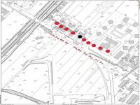 21 DICEMBRE 2021 / Sicurezza stradale, via libera all'abbattimento di 9 pini sulla SS1 via Aurelia a Madonna dell'Acqua