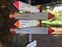 2 AGOSTO 2021 / Pit Monte Pisano, riqualificati i sentieri e i muretti a secco